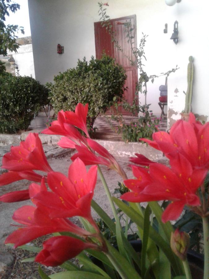 Ferme Walila Hotel Fertassa Exterior photo